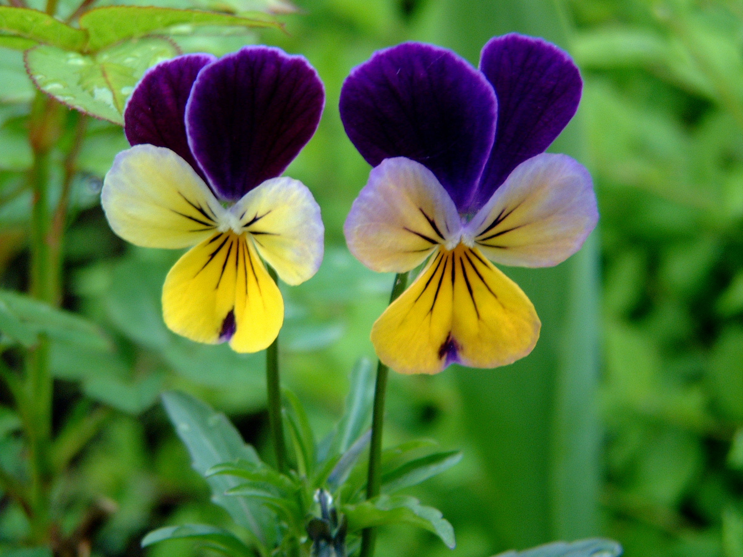Artikkelbilde til artikkelen Eksempel 2 blokk