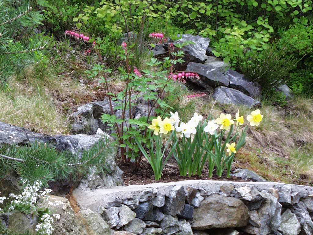 Artikkelbilde til artikkelen Eksempel blokkredigering